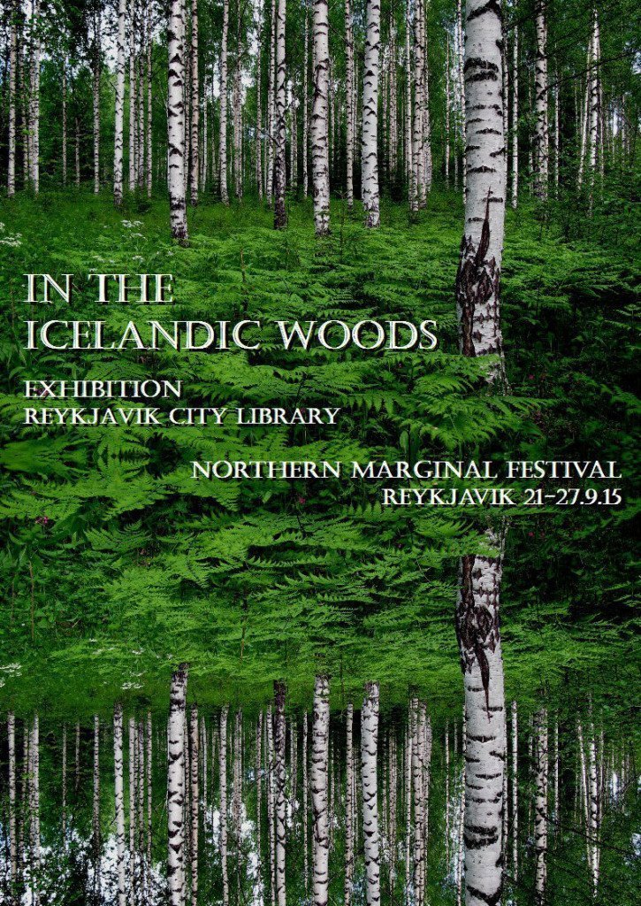 I-islensku-skogunum-plakat