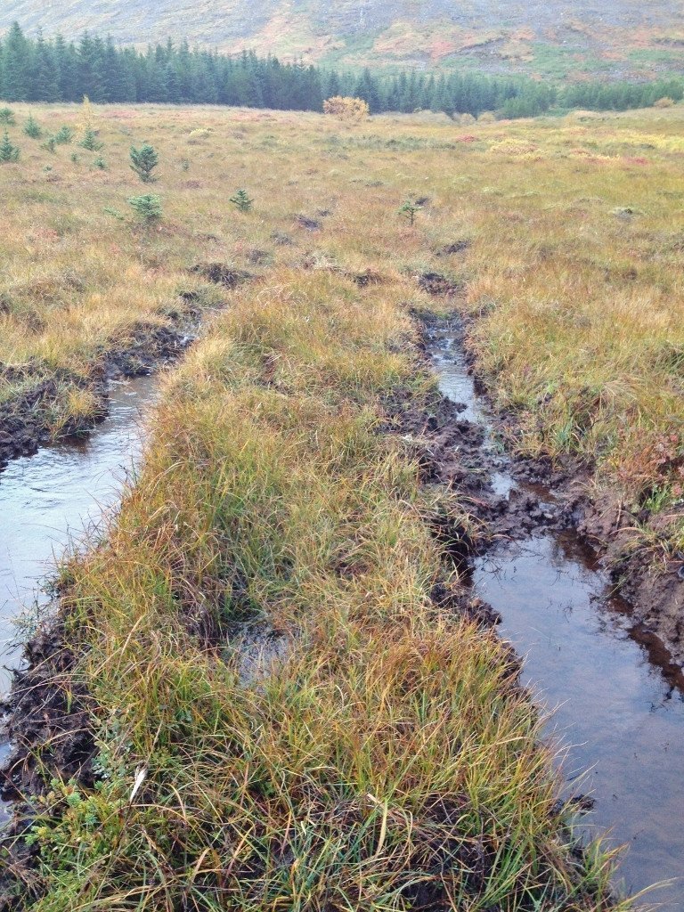 Til að komast um á þungum vélum í skóglendi er nauðsynlegt að leggja vegi<br />
sem bera þungann.