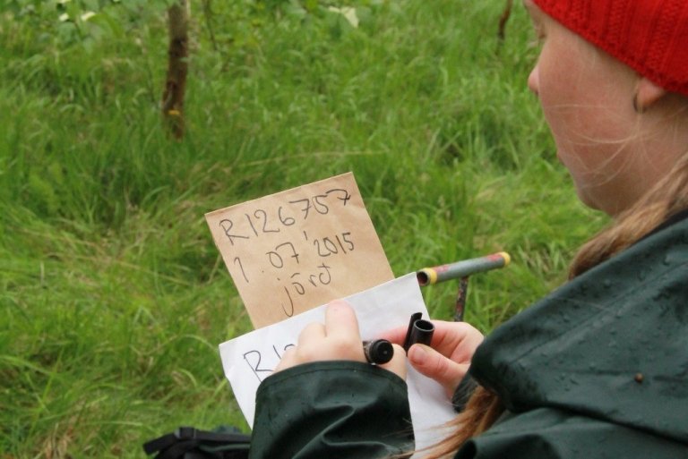 Kajsa merkir poka fyrir sýni sem tekin eru í mælifletinum.