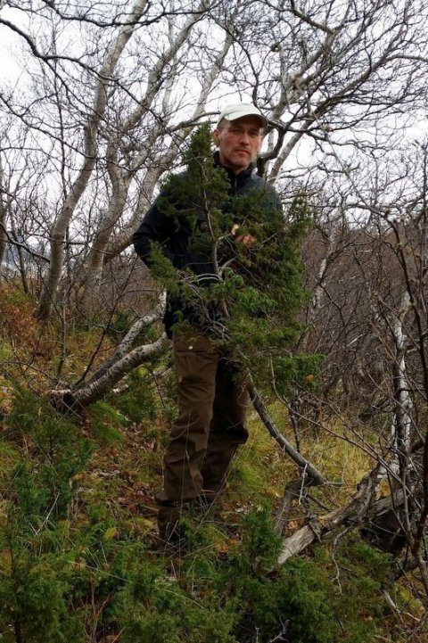 Hreinn Óskarsson við eini sem teygir sig hátt í mannhæð upp í loftið.