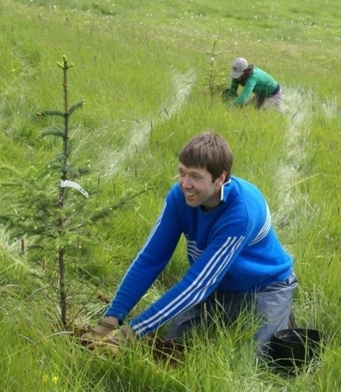 Gróðursetning á Tumastöðum í júní 2012.