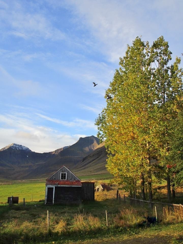 Haestu-tre-Vestfjarda