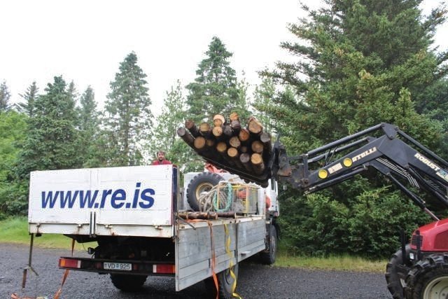 Timburflutningabíllinn lestaður íslensku timbri á Tumastöðum.