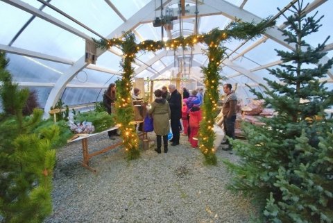 Jólalegt var í gróðurhúsinu þar sem Skógræktin seldi jólatré.