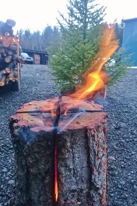 Myndarlegur kyndill úr lerkidrumbi veitir alvöru skógarstemmningu. Fallegt rauðgrenitré í baksýn.