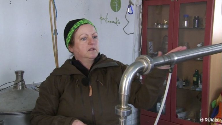 Hraundís útskýrir vinnsluferlið á ilmkjarnaolíunum.