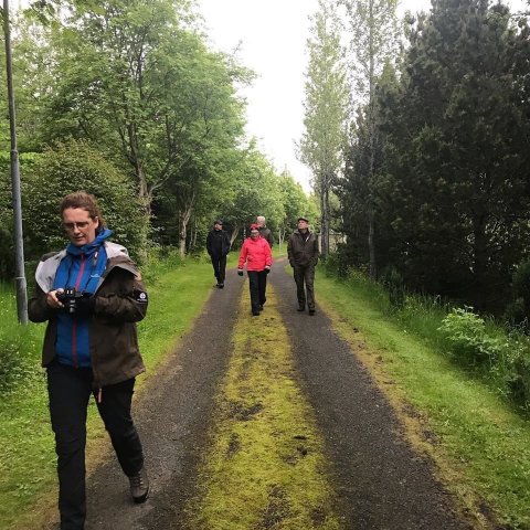 Gengið í skóginn á Núpum. Ljósmynd: Sigríður Júlía Brynleifsdóttir 