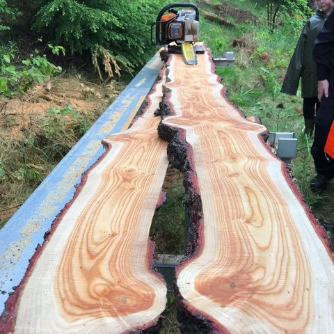 Viðarnytjar eru hafnar á Hofi. Hér eru myndarleg lerkiborð. Ljósmynd: Sigríður Júlía Brynleifsdóttir