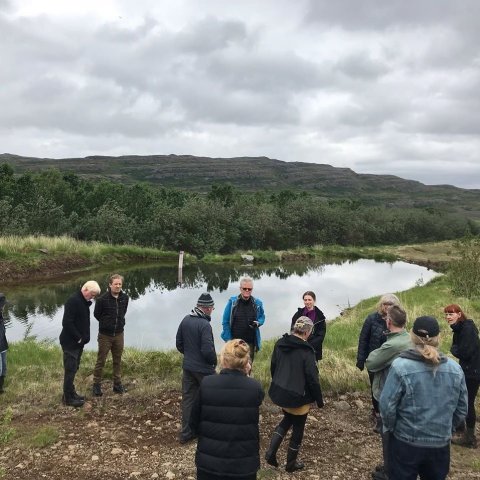 Við lognkyrra tjörn á Svanshóli. Ljósmynd: Sigríður Júlía Brynleifsdóttir 
