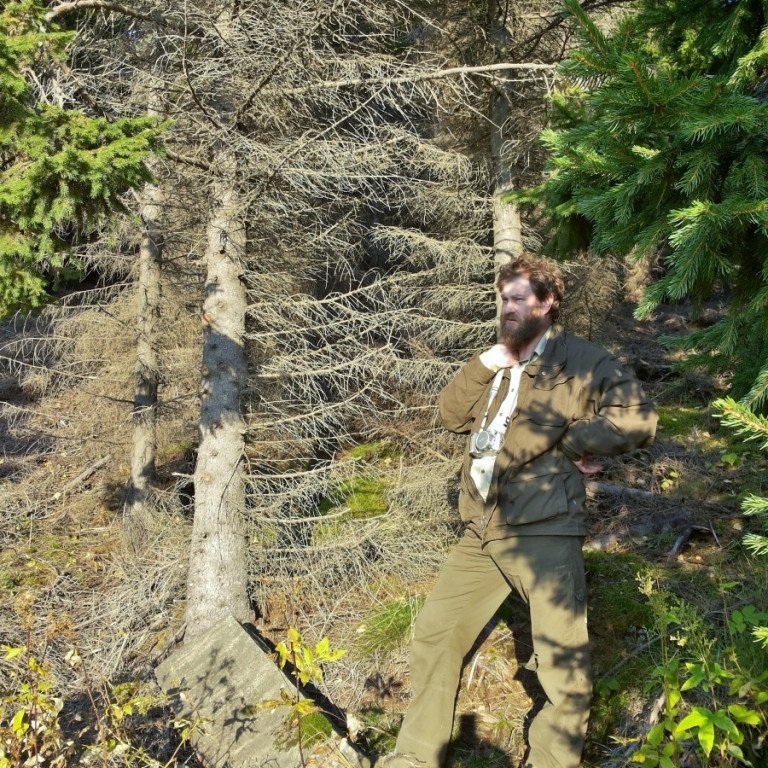 Valdimar Reynisson skógarvörður stendur við Braathens-steininn á Stálpastöðum í rúmlega hálfrar aldar gömlum rauðgreniskógi sem gróðursettur var með styrk frá norska skipakónginum Ludvig G. Braaten. Myndin er tekin haustið 2014. Ljósmynd: Þröstur Eysteinsson