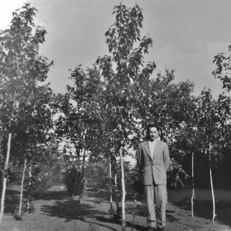 2014-11-28-144522-1280x960