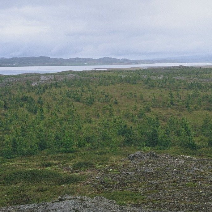 Þessar myndir sýna vel hversu mikið gerist á stuttum tíma. Á þeirri efri er land sem bíður gróðursetningar en á þeirri neðri tíu ára skógur á sama landi.. Ljósmynd: Héraðsskógar