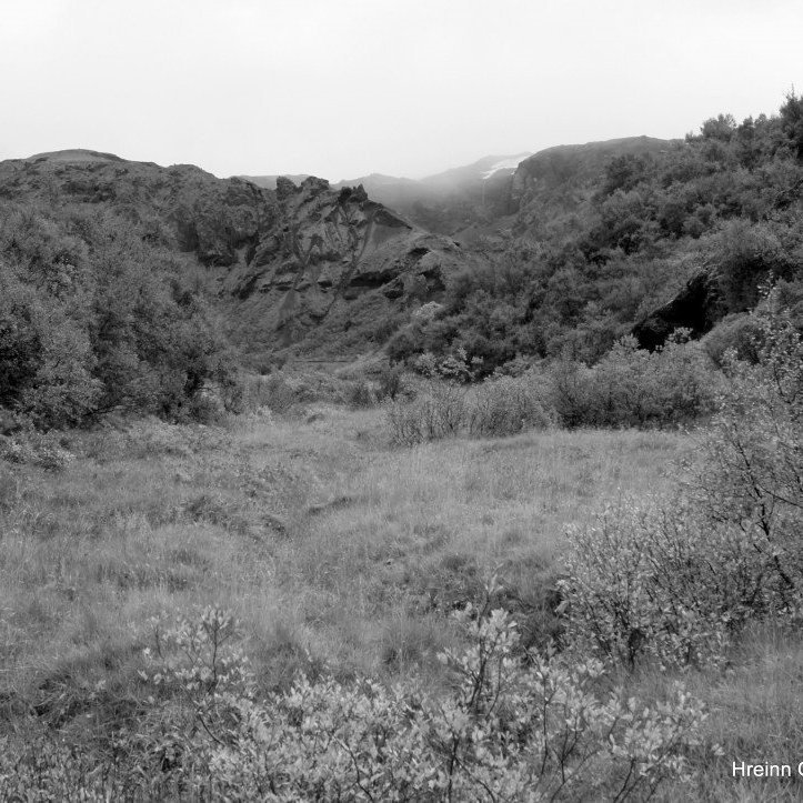 Langidalur á Þórsmörk. Ljósmynd: Hreinn Óskarsson