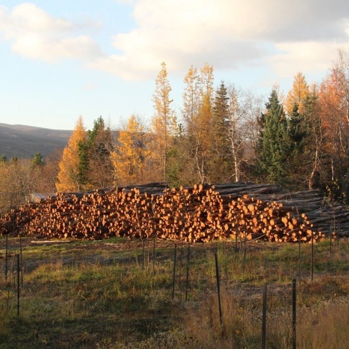 Ljósmynd: Pétur Halldórsson