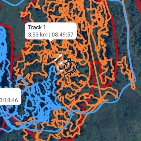 GPS-hnit sem sýna leið grisjunarmanna við vinnu í skóginum. Leiðin verður nokkuð löng eftir daginn þótt unnið sé á litlu svæði. Mynd úr landupplýsingakerfi
