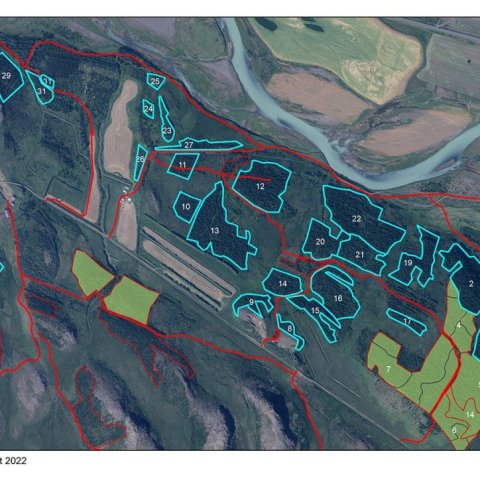 Grisjunaráætlun fyrir Hamar haustið 2022. Mynd: Skógræktin