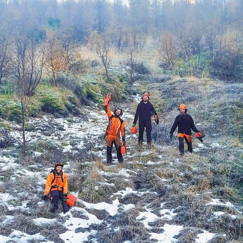 Kátir grisjunarmenn á Hamri. Ljósmynd: Johan Holst