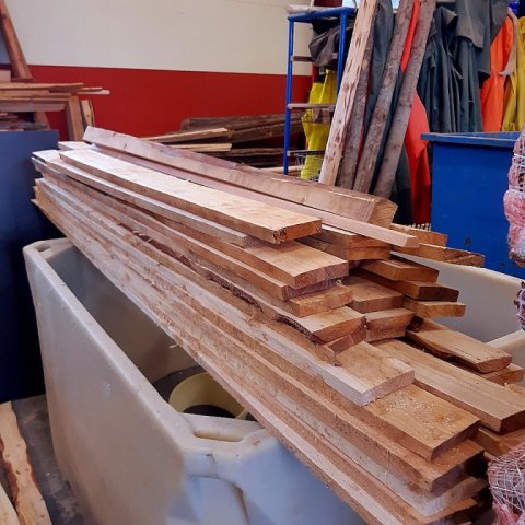 Hrymsviður 2 Ljósmynd: Þór Þorfinnsson