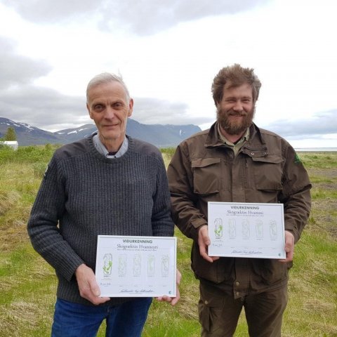 afhendinghvanneyriholmfrthorst