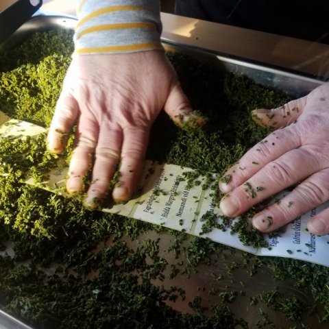 Hér höfum við „barrnálapestó“ hvorki meira né minna, notað í vellyktandi nafnspjöld