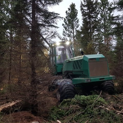 Höggvélin að störfum. Ljósmynd: Hreinn Óskarsson