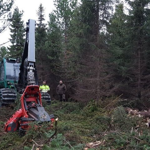 Óskar Grönholm skógvélamaður og Trausti Jóhannsson skógarvörður við höggvélina í Haukadalsskógi. Ljósmynd: Hreinn Óskarsson