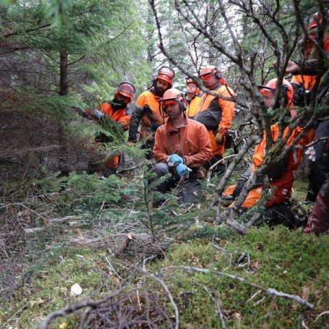 Stund milli stríða í skóginum. Ljósmynd: Sævar Hreiðarsson