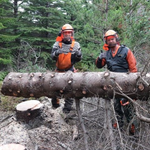 Victor og Kjeld frá skógarverðinum í Skorradal. Ljósmynd: Sævar Hreiðarsson