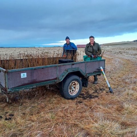 Hrafn og Harpa Dís Harðardóttir sækja plöntur á kerruna. Ljósmynd: Valgerður Erlingsdóttir