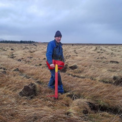 Hrafn með aspir í pokunum. Ljósmynd: Valgerður Erlingsdóttir