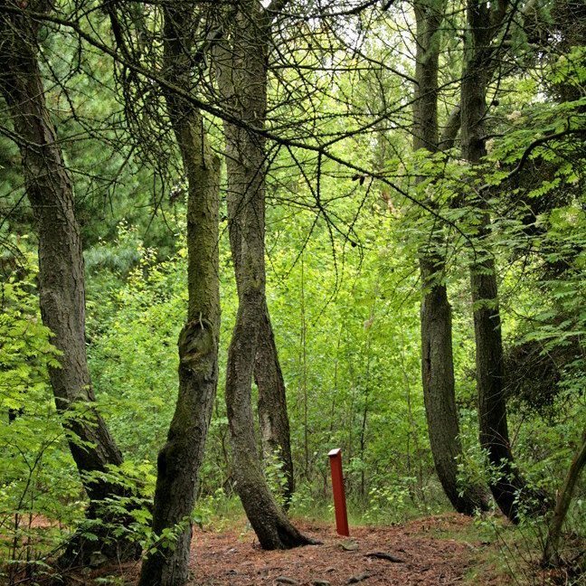 (mynd: Esther Ösp Gunnarsdóttir)