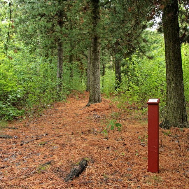 (mynd: Esther Ösp Gunnarsdóttir)