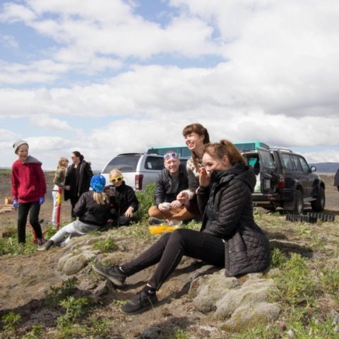 Skólabörn í Þorlákshöfn gróðursetja á Hafnarsandi 4