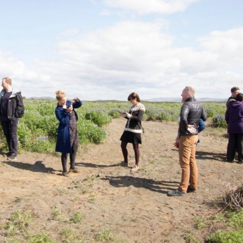 Skólabörn í Þorlákshöfn gróðursetja á Hafnarsandi 6
