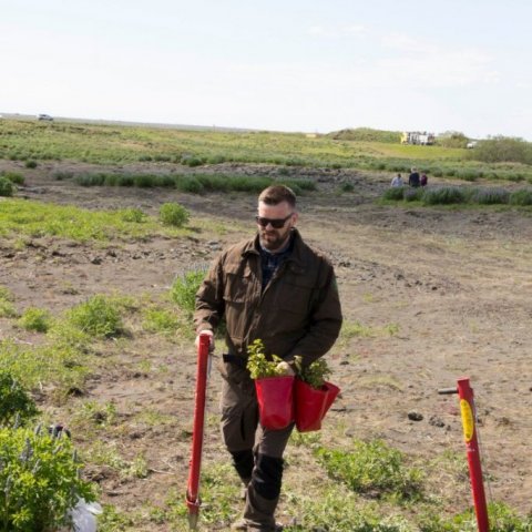 Skólabörn í Þorlákshöfn gróðursetja á Hafnarsandi 7