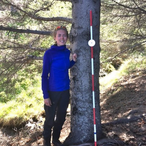 Britta Sterner, sænskur skógfræðinemi, við hæsta tré Vestfjarðakjálkans. Ljósmynd: Björn Traustason