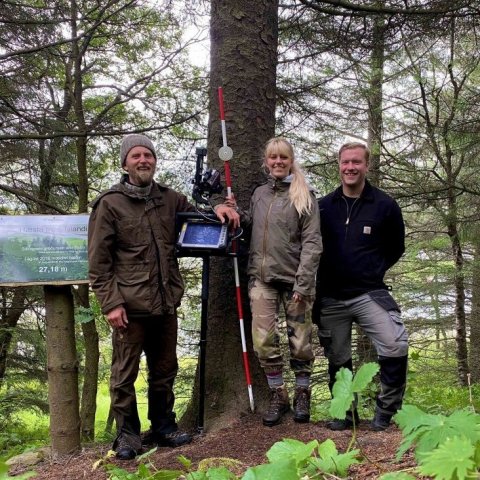 Björn Traustason, Hjördís Jónsdóttir og Sverrir Baldur Torfason við hæsta tréð. Ljósmynd: Hjördís Jónsdóttir