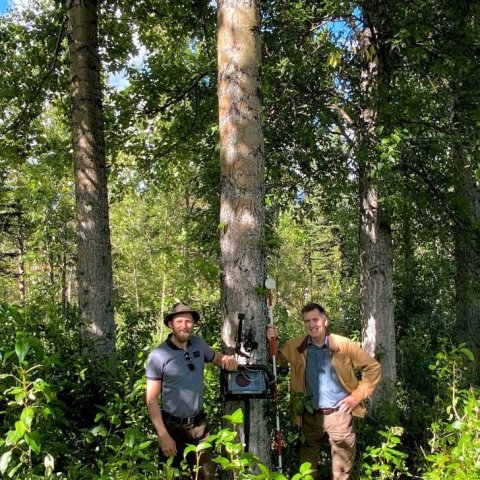 Björn ásamt Þór Þorfinnssyni skógarverði hjá hæstu ösp landins sem vex við Hjalla á Hallormsstað. Ljósmynd: Hjördís Jónsdóttir