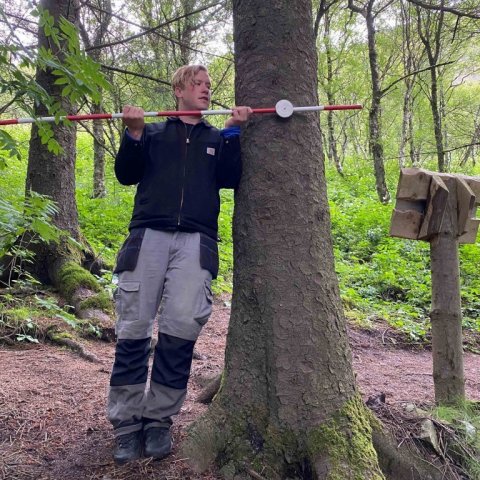 Sverrir með stikuna við hæsta tré landsins. Ljósmynd: Hjördís Jónsdóttir