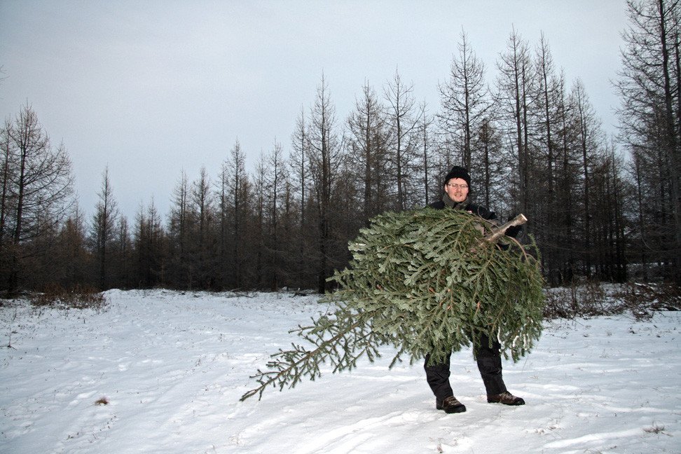 Starfsfólk SR á Austurlandi og fjölskyldur í Hallormsstaðaskógi á aðventu 2008