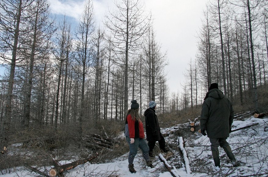 Skógræktarfólk skeggræðir á Hallormsstað í mars 2009