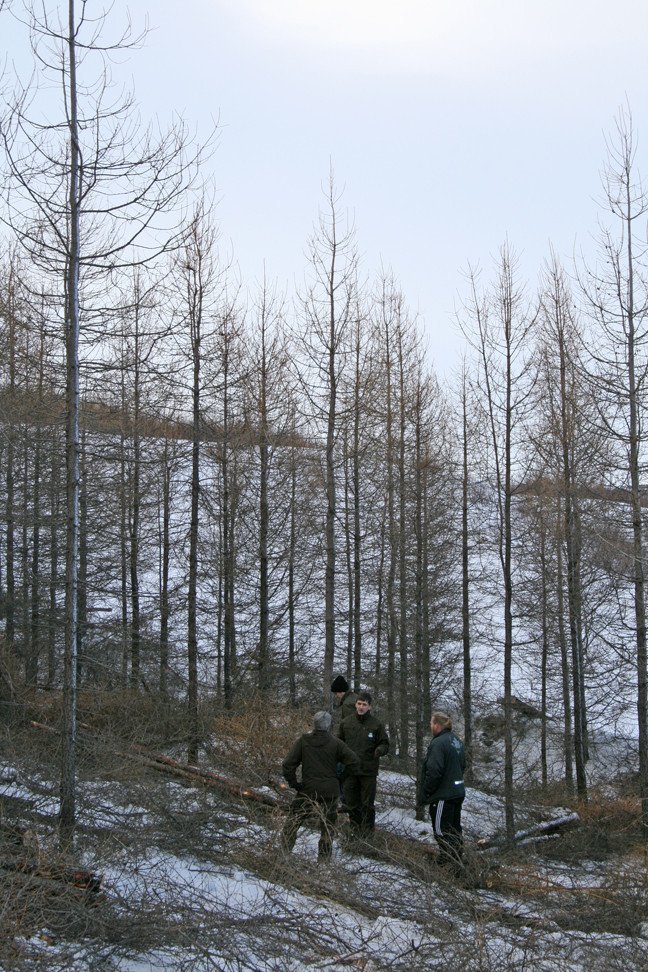 Skógræktarfólk skeggræðir á Hallormsstað í mars 2009