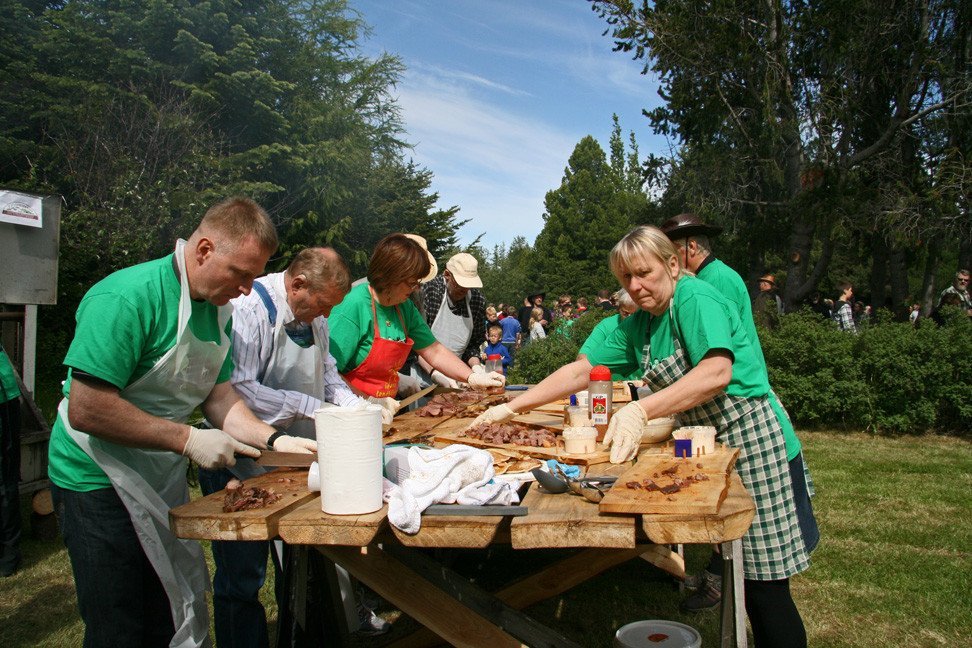 Skógardagurinn mikli 2010