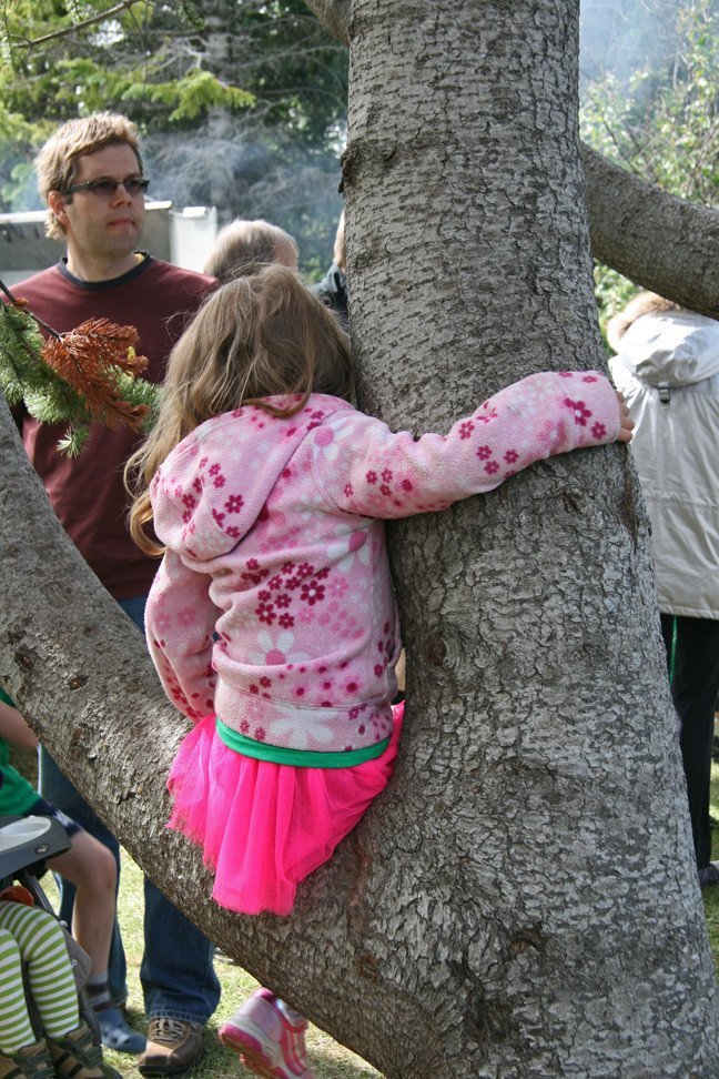 Skógardagurinn mikli 2010