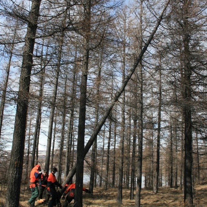 (mynd: Þröstur Eysteinsson)