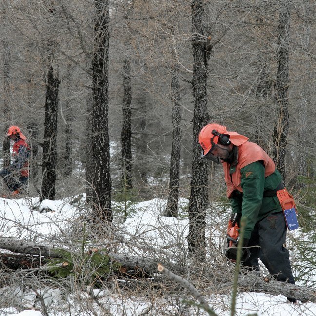 (mynd: Esther Ösp Gunnarsdóttir)