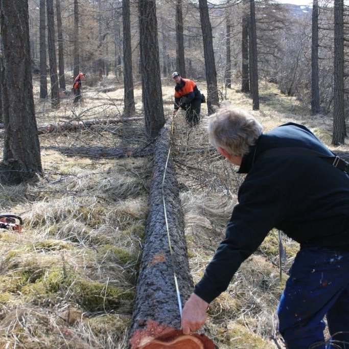 (mynd: Þröstur Eysteinsson)