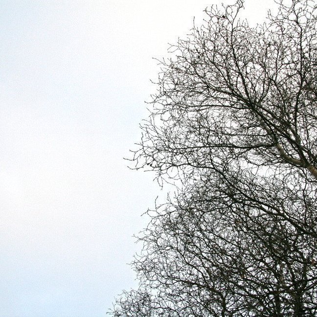 (mynd: Esther Ösp Gunnarsdóttir)