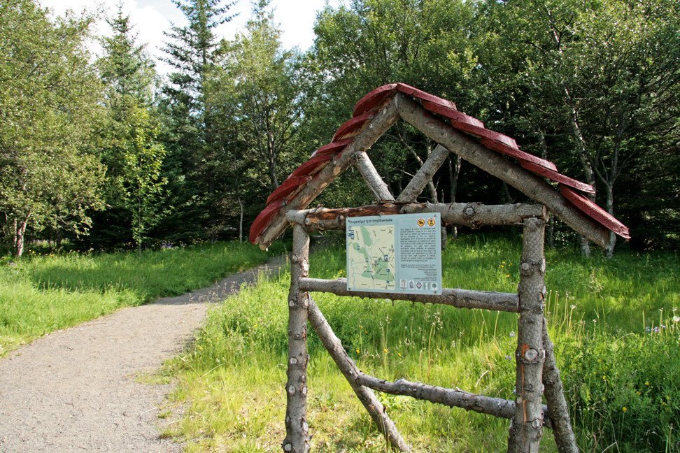 Kort í Haukadalsskógi