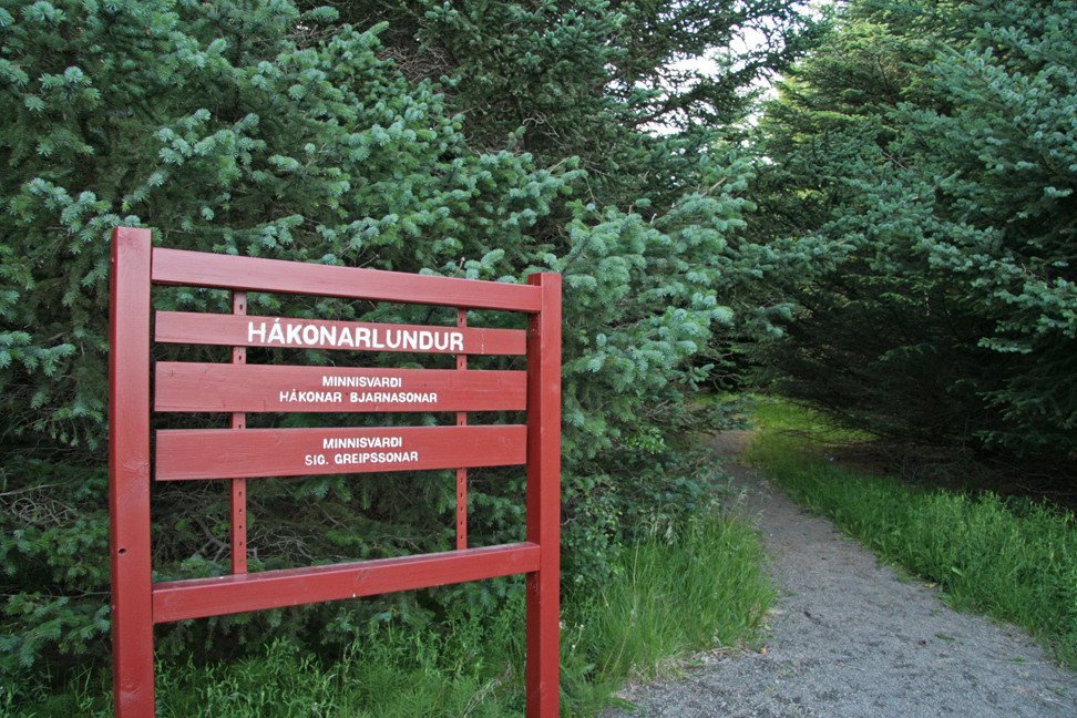 Hákonarlundur í Haukadal.